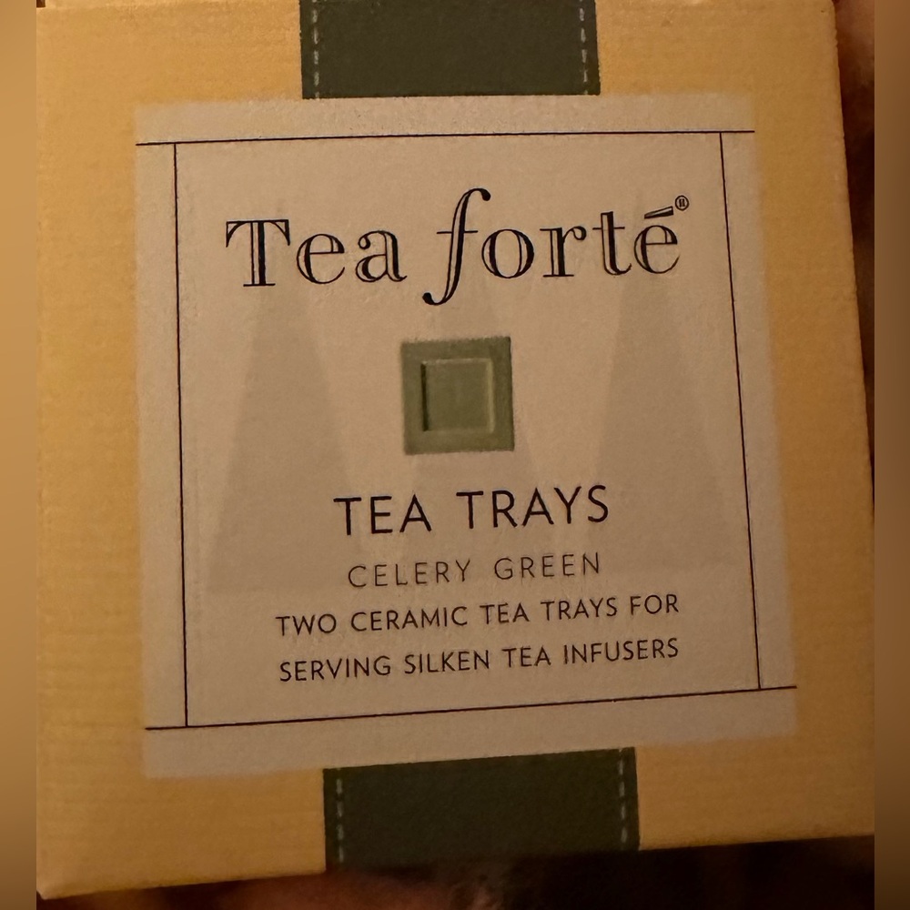 NWT NIB TEA FORTE The Art of Tea Set 2 Square Ceramic Tea Trays Celery Green HTF